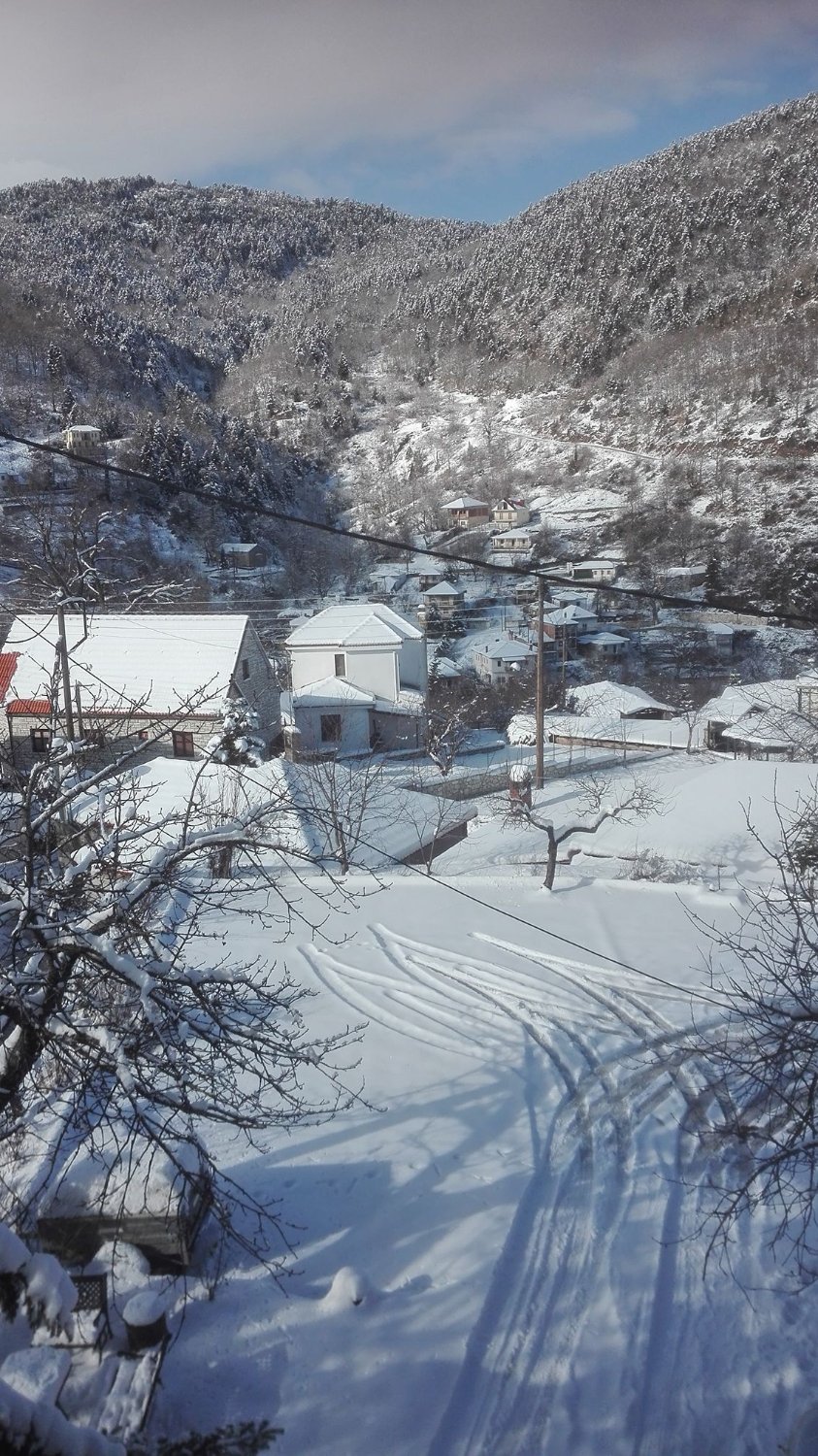 Guesthouse To Petrino-官方