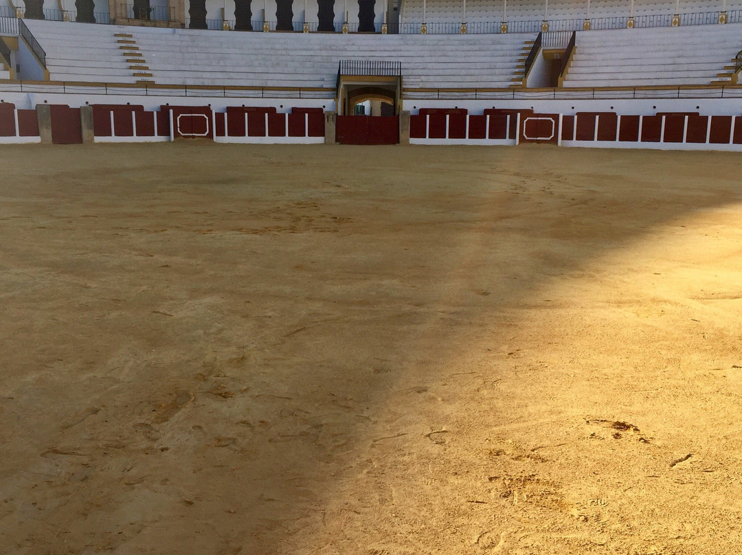 Bullfighting Museum景点图片