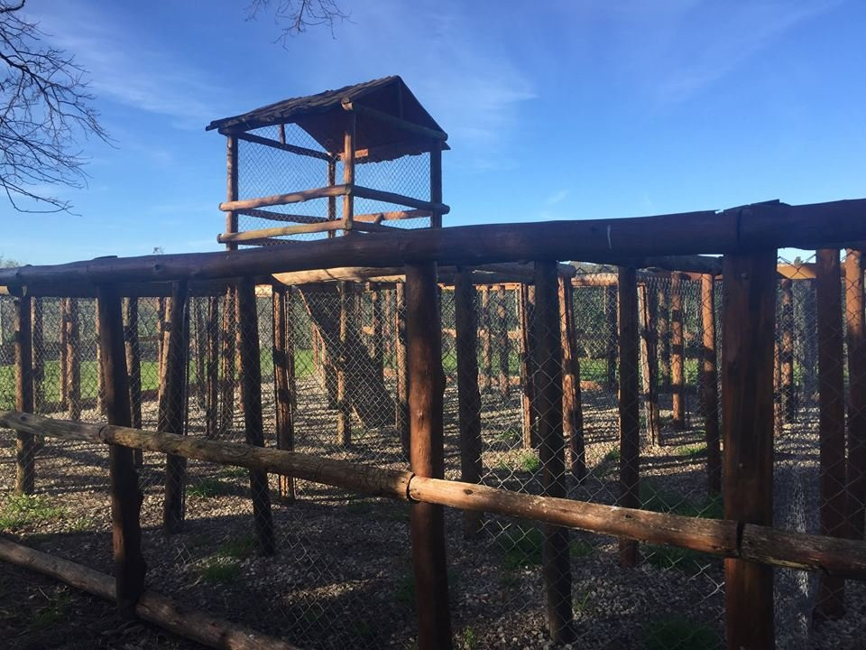 La Posada del Indio主图