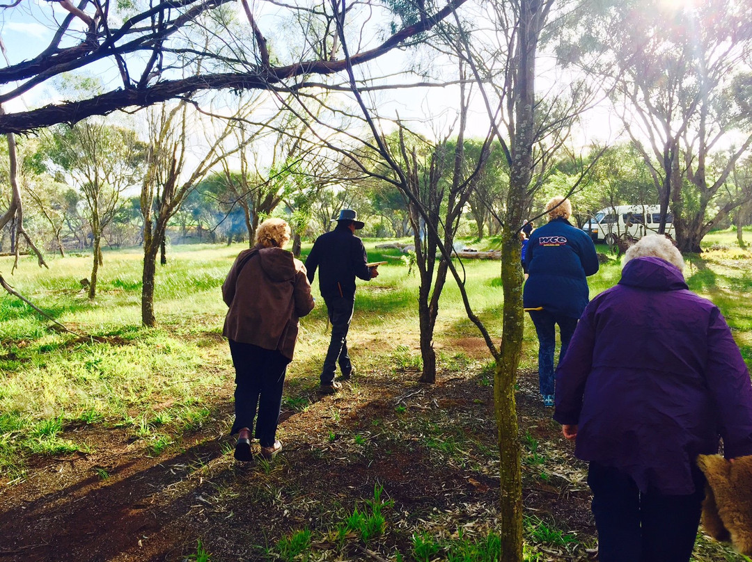 Wuddi Cultural Tours景点图片