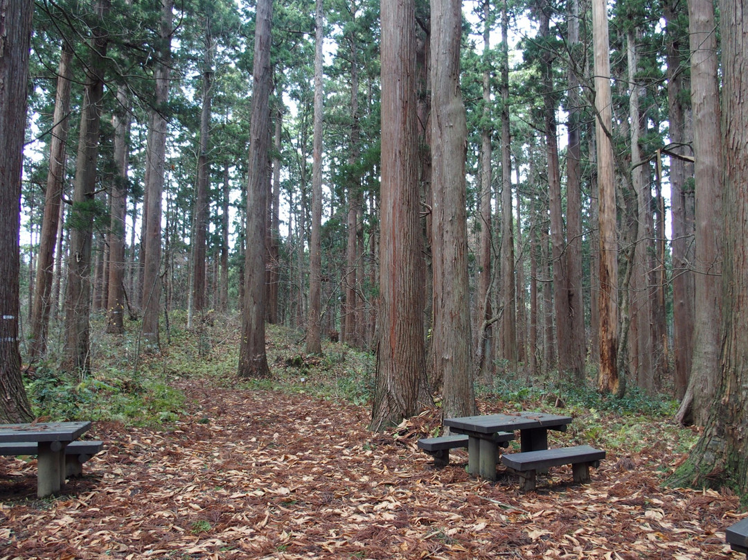 Kamiouchisawa Nature Observation Training Forest-上小阿仁村必去景点