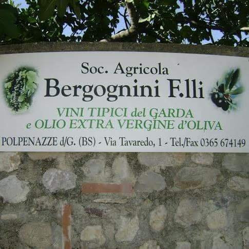 Societa Agricola Bergognini Fratelli景点图片