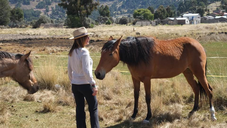 Centro Hipico Lago Titicaca-Chucuito必去景点