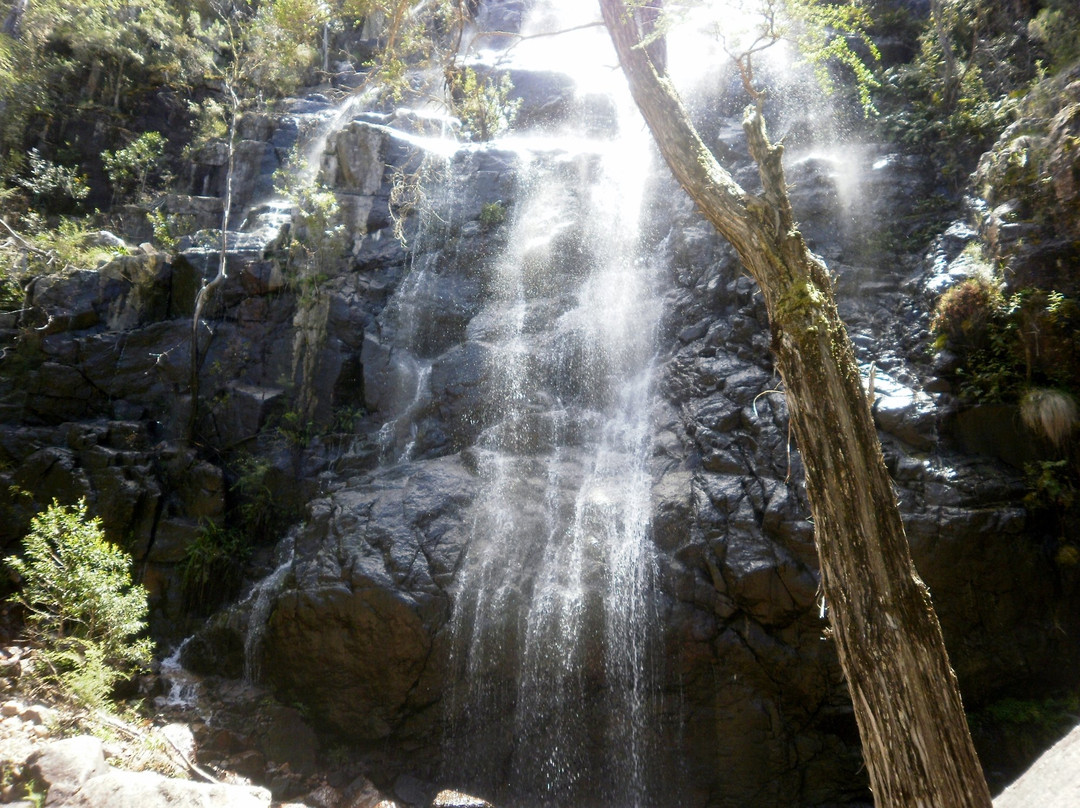 Bluff Falls-Cudgewa必去景点