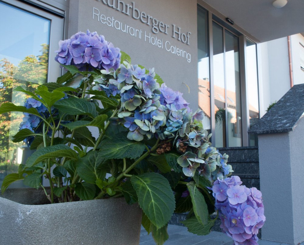 Landgasthof Rührberger Hof主图