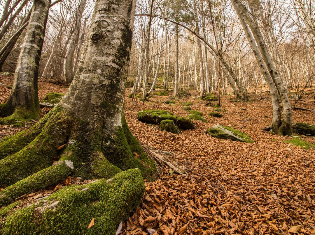 Val Sanguigno-Valgoglio必去景点