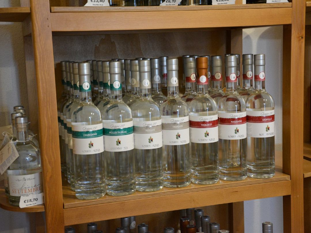 Distilleria Rossi d'Anaunia景点图片