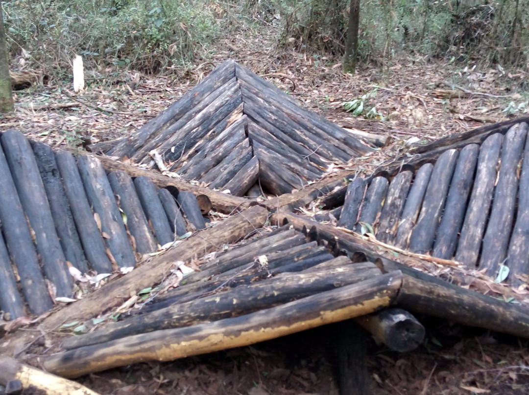 Toolangi Sculpture Trail景点图片