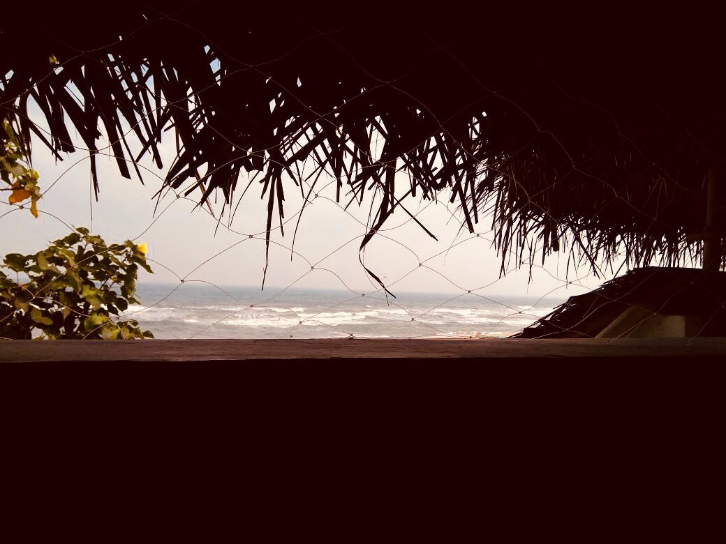 Salty Bone Divers-玛玛拉普蓝必去景点