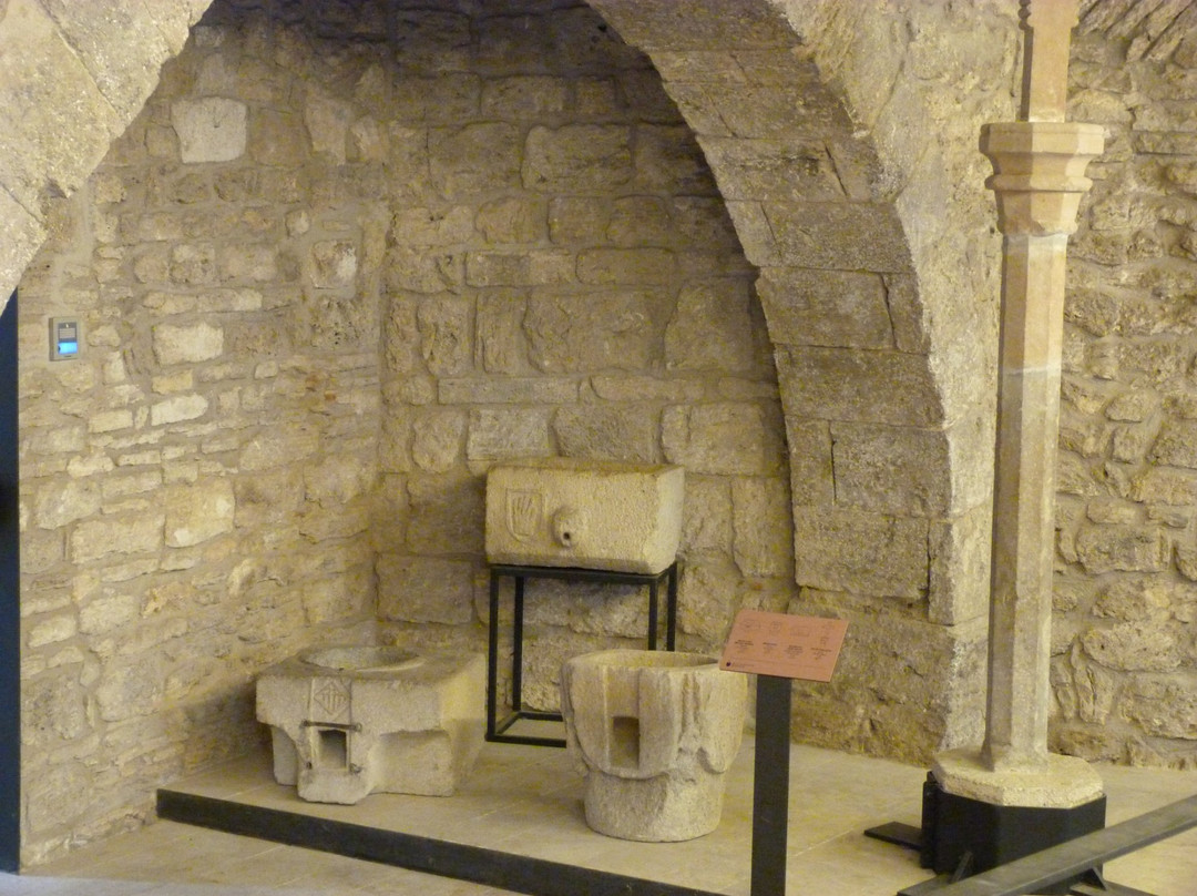 Museu Arqueológic Comarcal景点图片