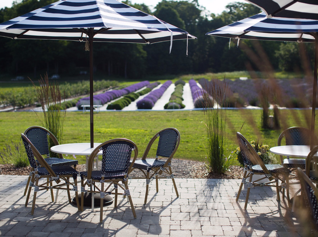 Secret Garden at Brys Estate-特拉弗斯城必去景点