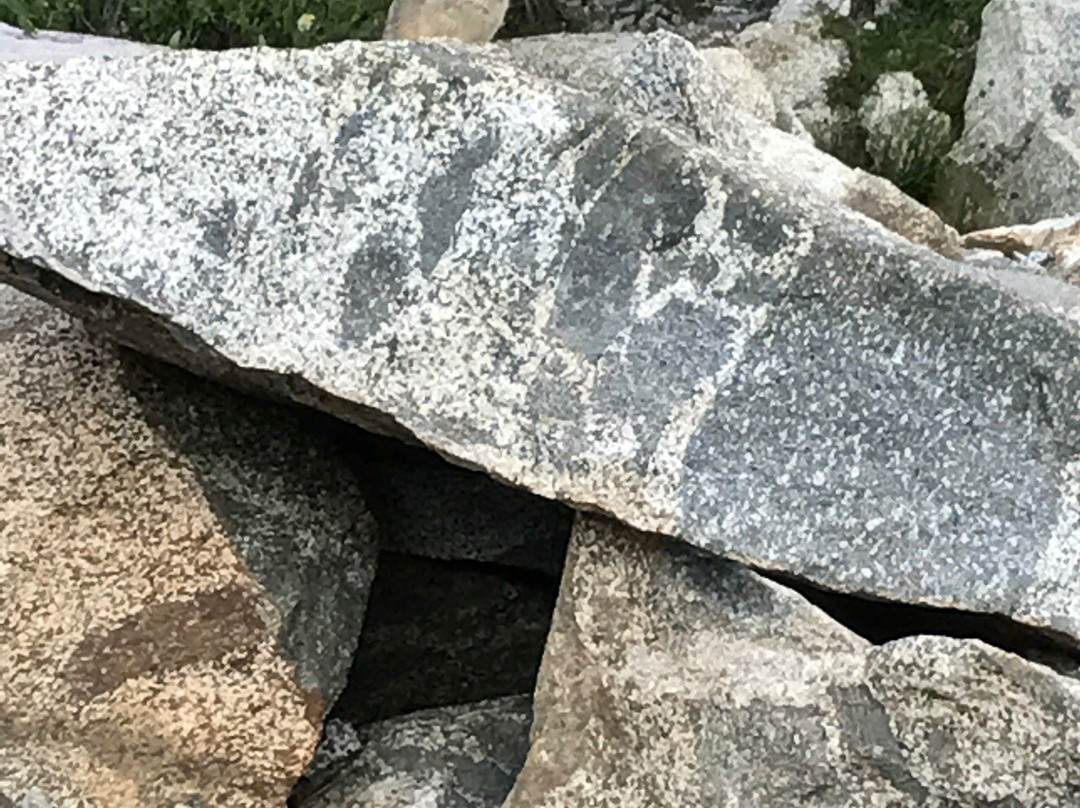 Mineral King Valley-红杉&国王峡谷国家公园必去景点