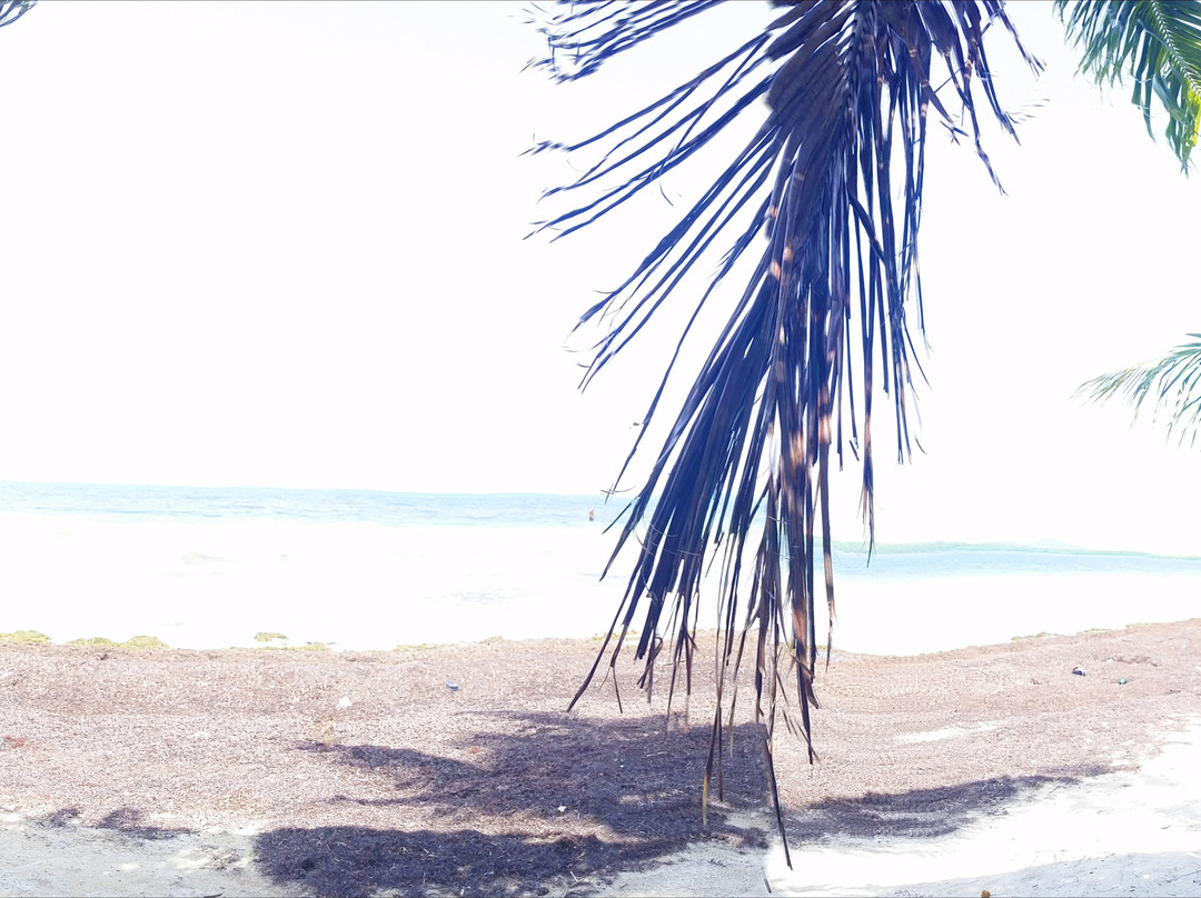 Reserva Natural Medio Mundo y Daguao-Ceiba必去景点