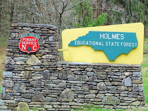 Holmes Educational State Forest-亨德森维尔必去景点