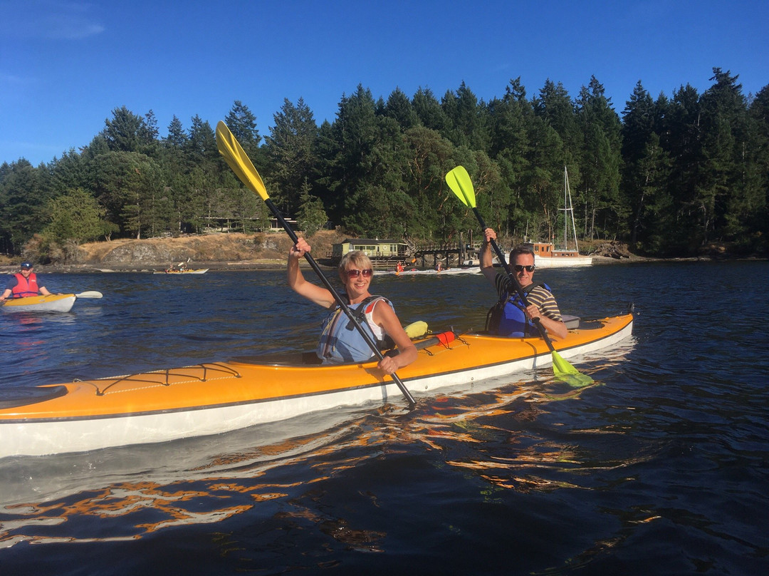 Wilderness Kayaking Co景点图片