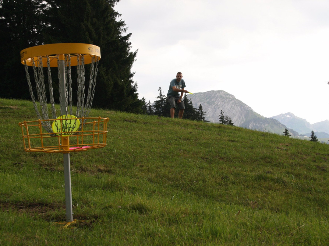 Disc Golf Pays-d'Enhaut-Chateau-d'Oex必去景点