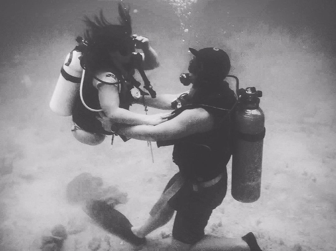 ConnectOcean Aquatic Academy & Dive Centre景点图片