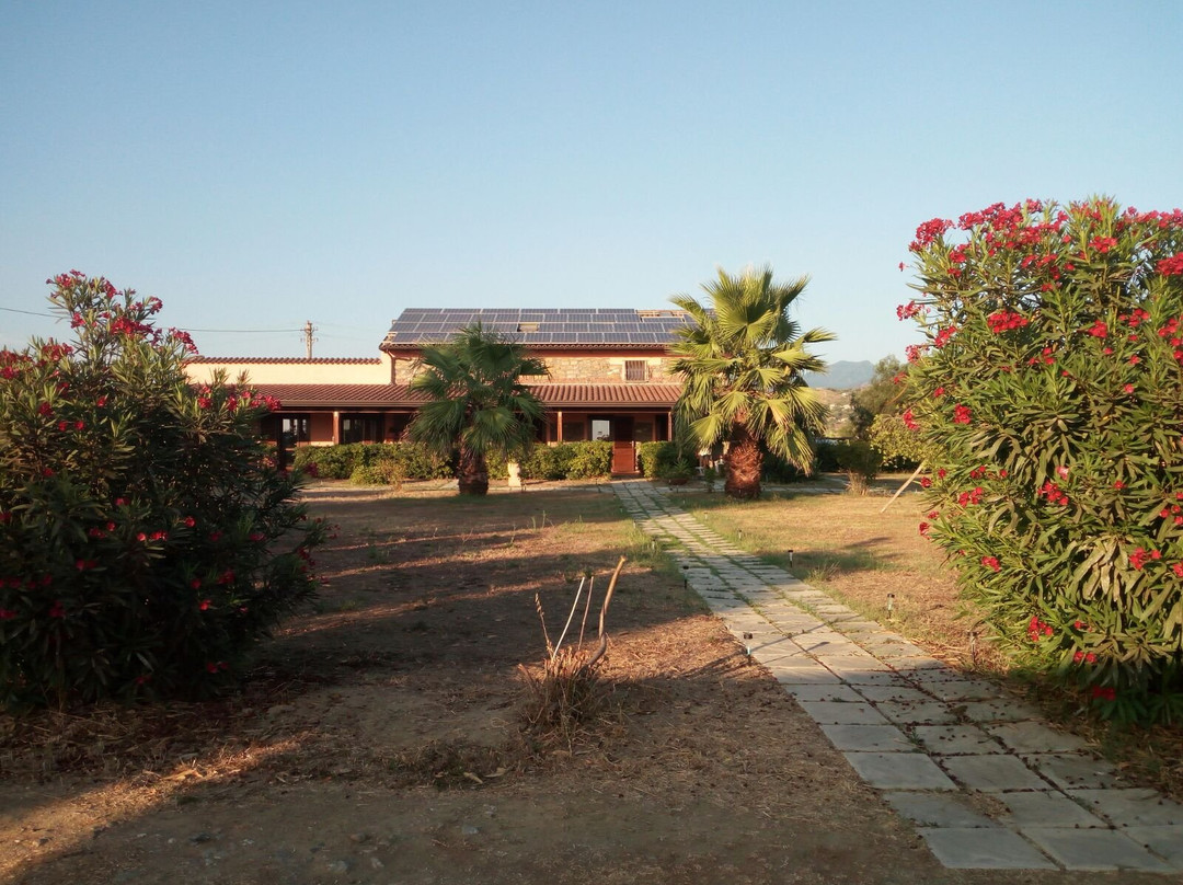 Castelnuovo Cilento酒店住宿-Country House B&B Casale D'Orio