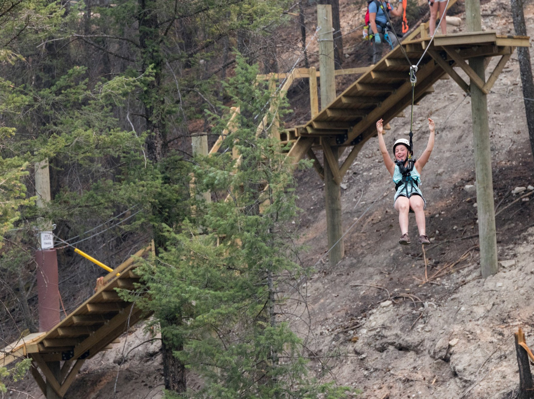 Valley Zipline Adventures景点图片