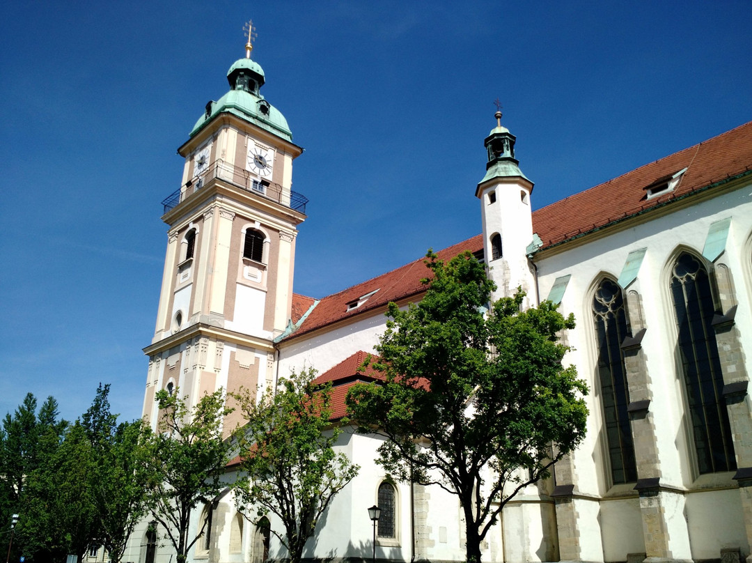 Maribor Cathedral (Church of St John the Baptist)景点图片