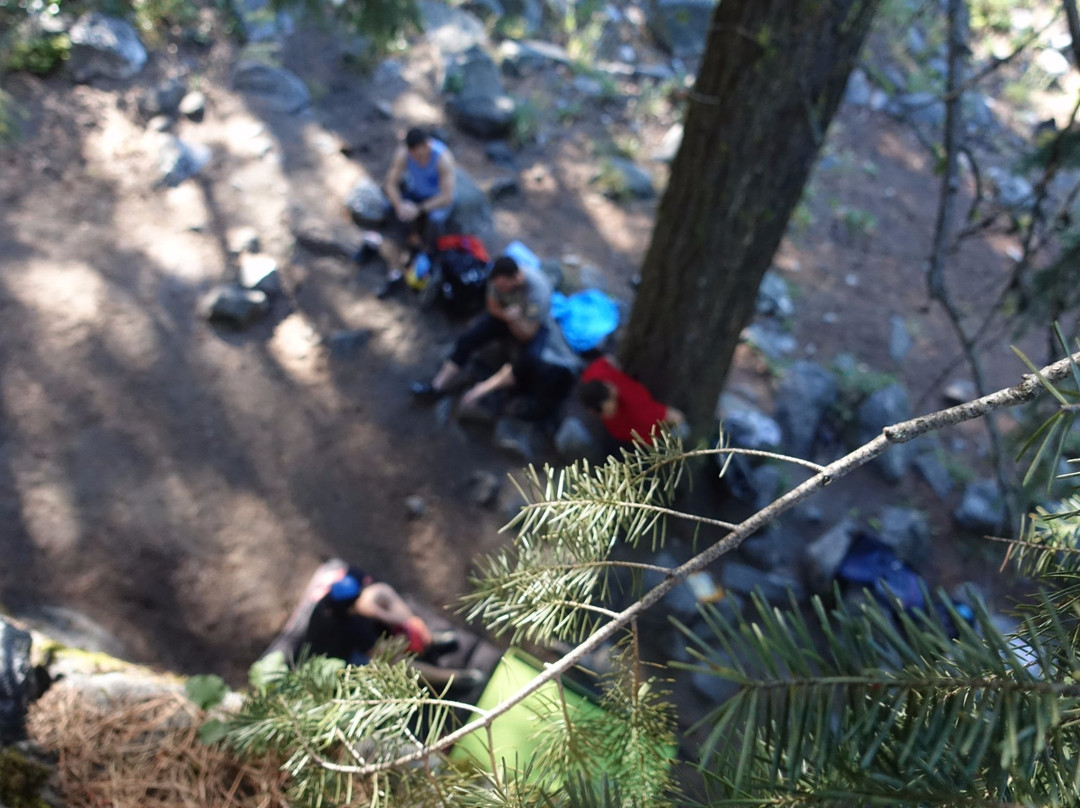 Bouldering Bus-西雅图必去景点