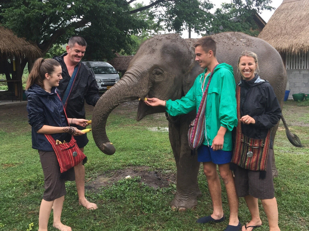 Maeklang Elephant Conservation Community-Mae Win必去景点