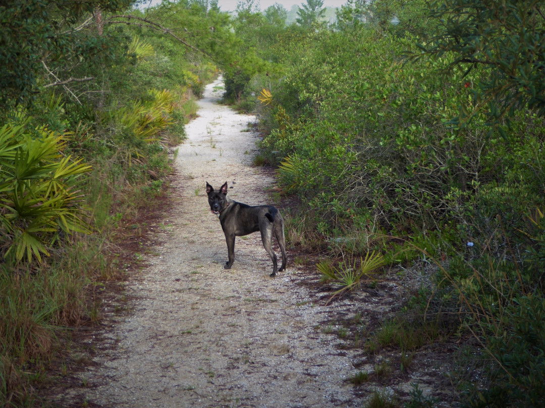 Yearling Trail-Fort McCoy必去景点