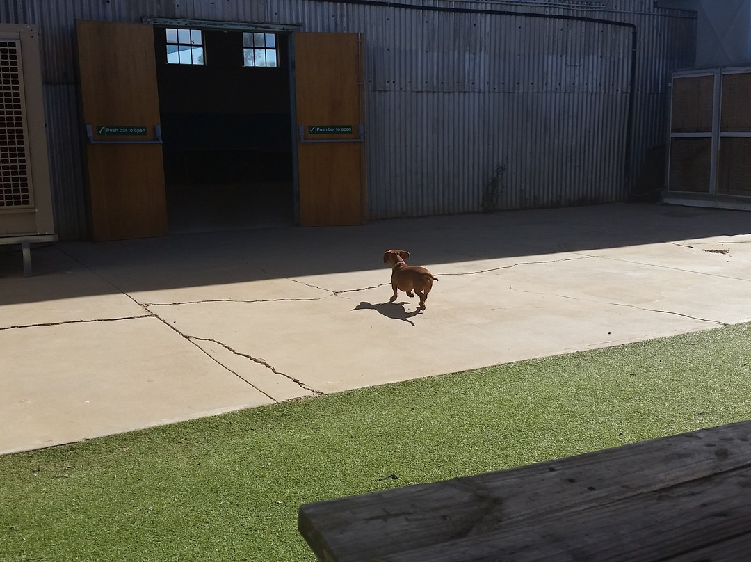 Andamooka Yacht Club-Andamooka必去景点