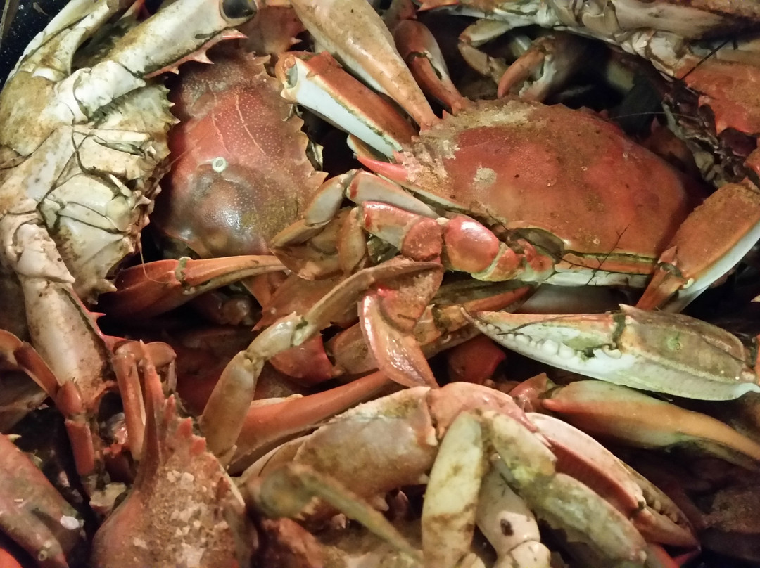 Buxton Seafood景点图片