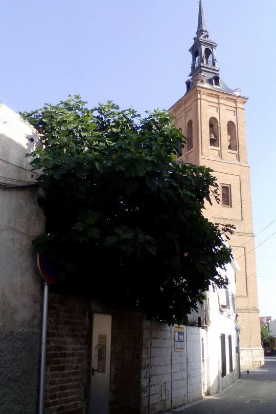 Iglesia Parroquial de la Natividad de Nuestra Senora-圣马丁德拉维加必去景点