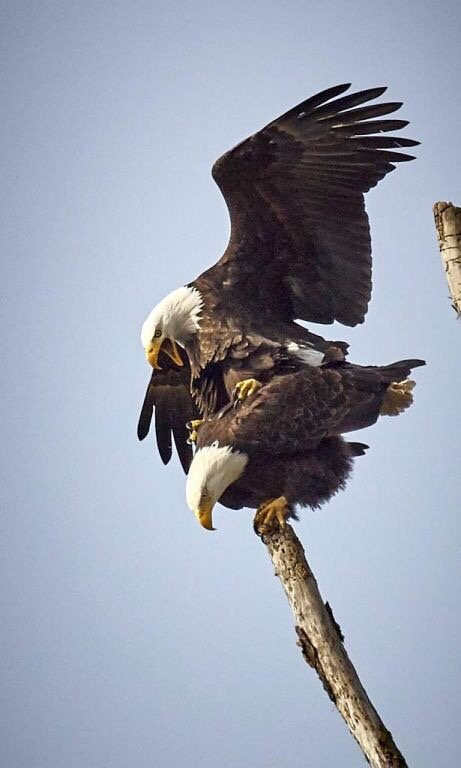 Delta Ponds City Park-尤金必去景点