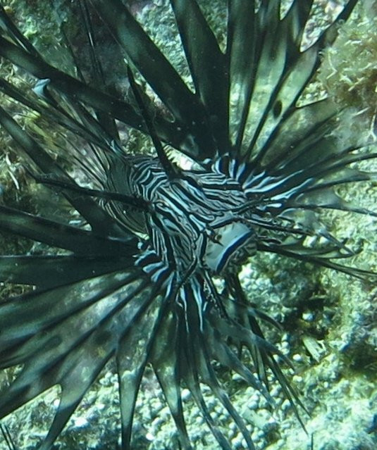 Arko Beach-邦劳岛必去景点
