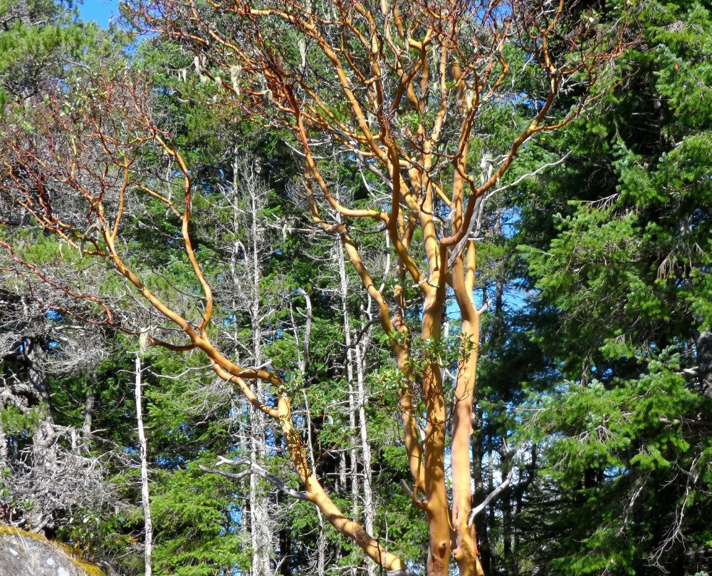 Valentine Mountain-鲍威尔里弗必去景点