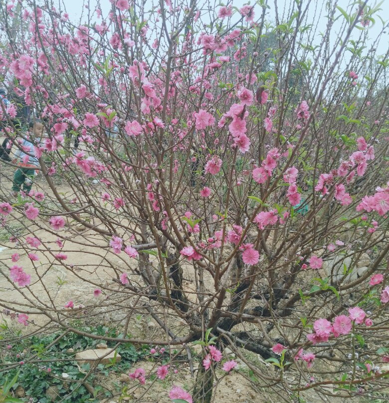 白水带公园-江门市必去景点