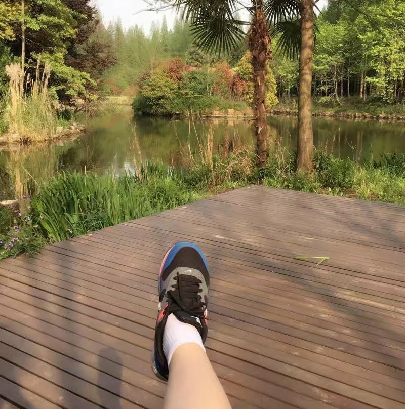 东平国家森林公园-崇明县必去景点