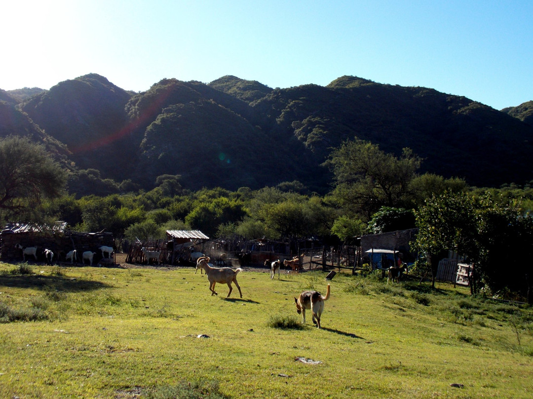 Bajo de Veliz-San Luis必去景点