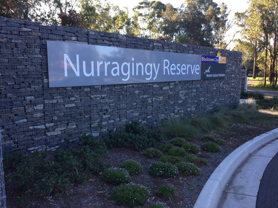 Nurragingy Reserve景点图片