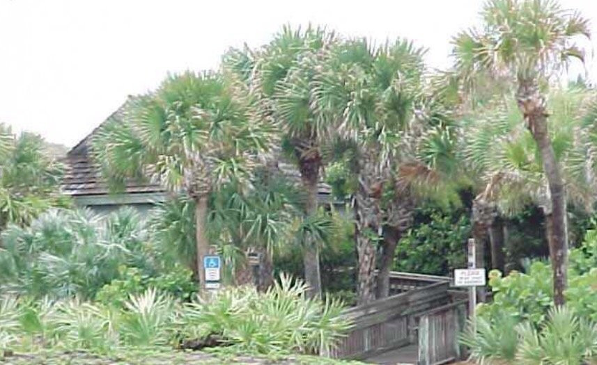 Treasure Shores Beach Park-维罗海滩必去景点