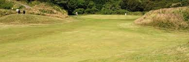 Ashburnham Golf Club景点图片