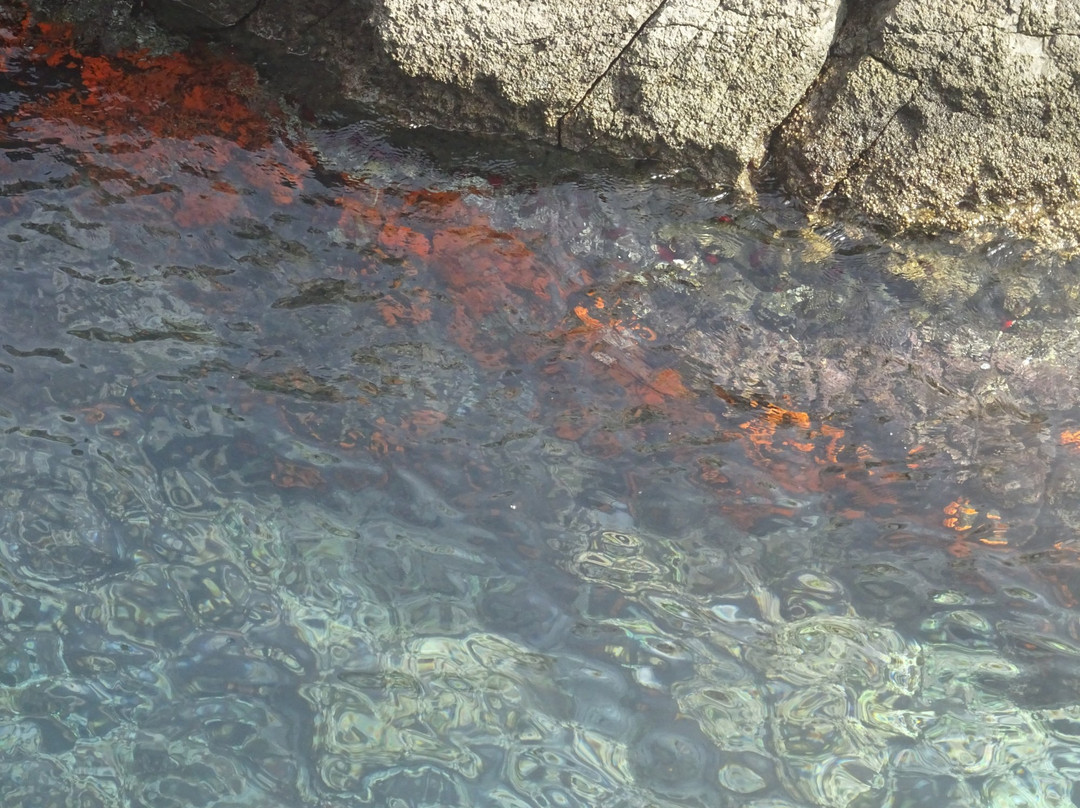 Playa Ensenada de los Berengueles-阿尔穆涅卡尔必去景点