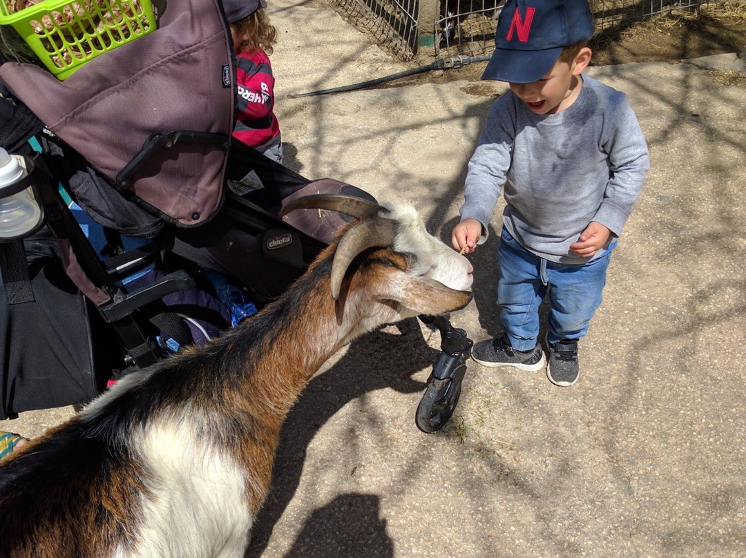 Agam Hai Yiron-Yiron必去景点