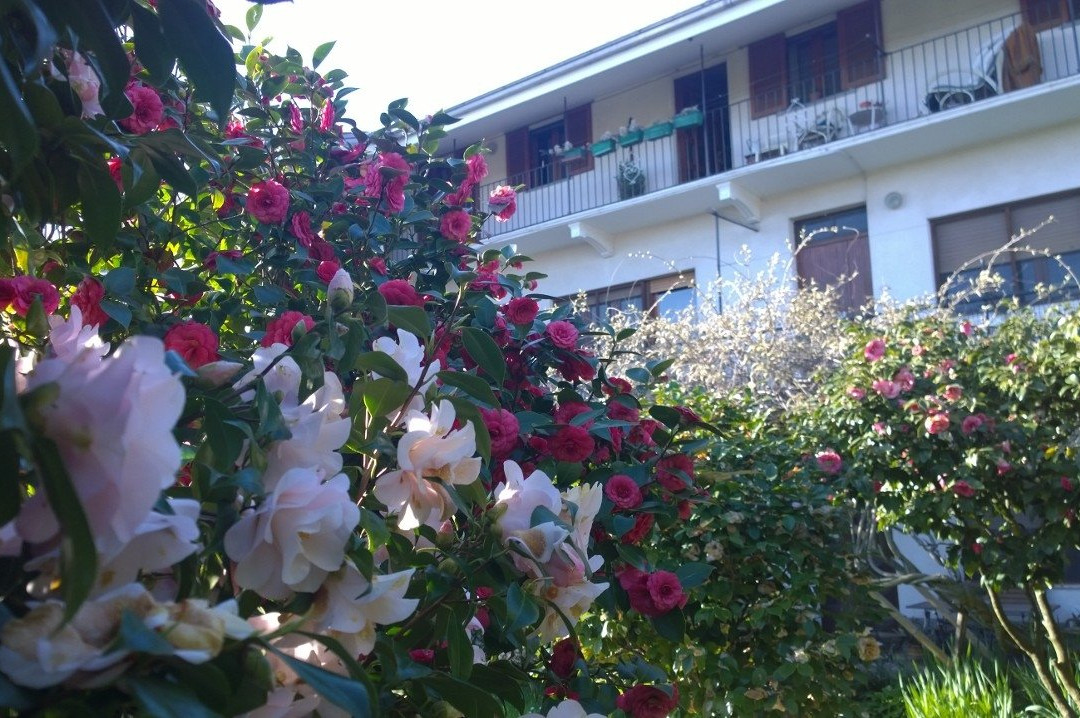 Pavone Canavese酒店住宿-B&B Casa Passito