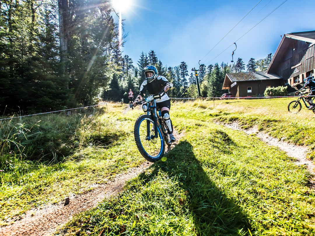 Bikepark Bad Wildbad景点图片