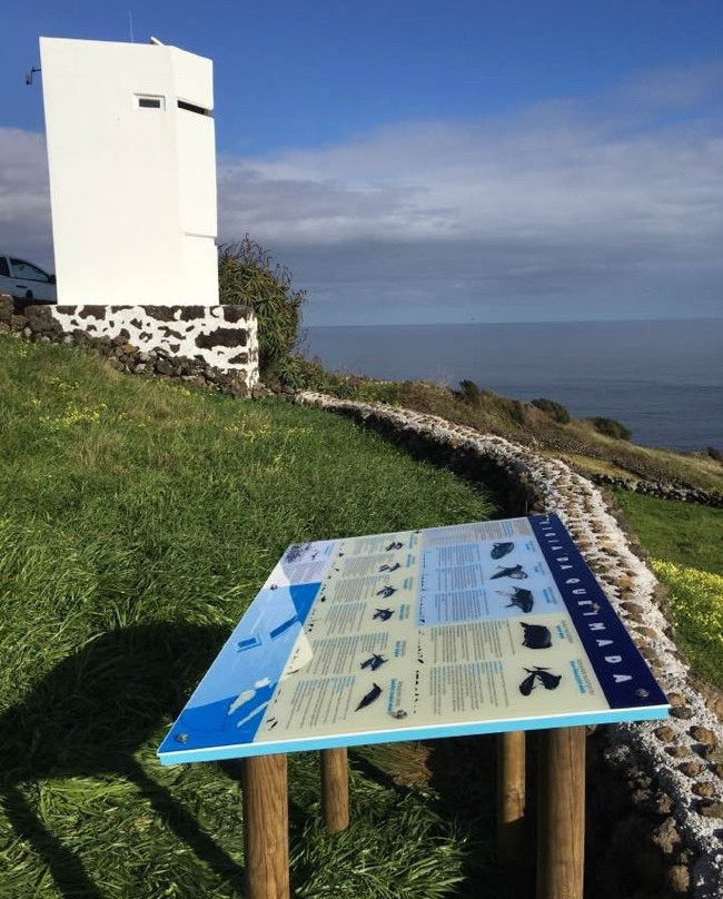 Vigia da Queimada-Lajes do Pico必去景点