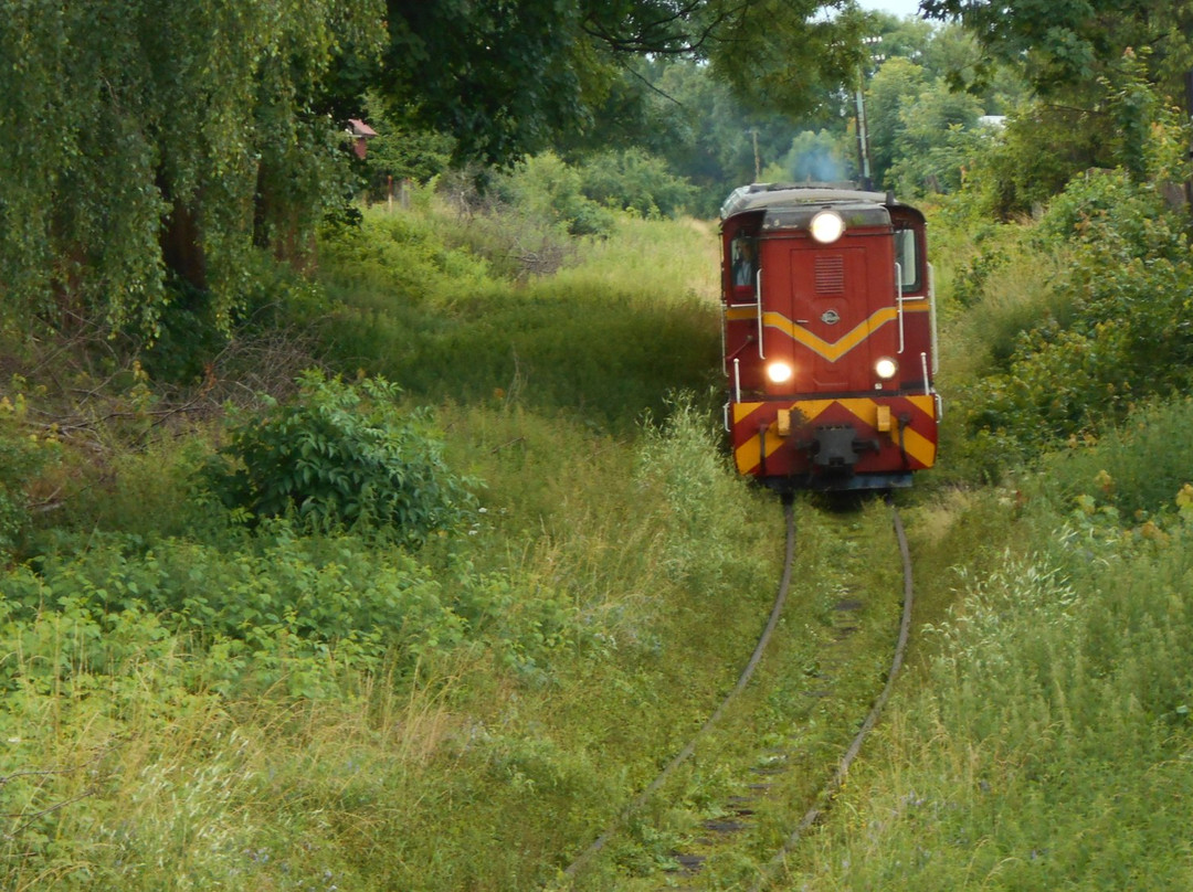 Narrow-lane rail-Koszalin必去景点