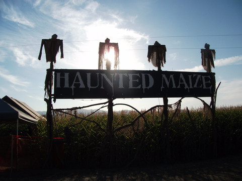 The Maize at The Pumpkin Patch-波特兰必去景点