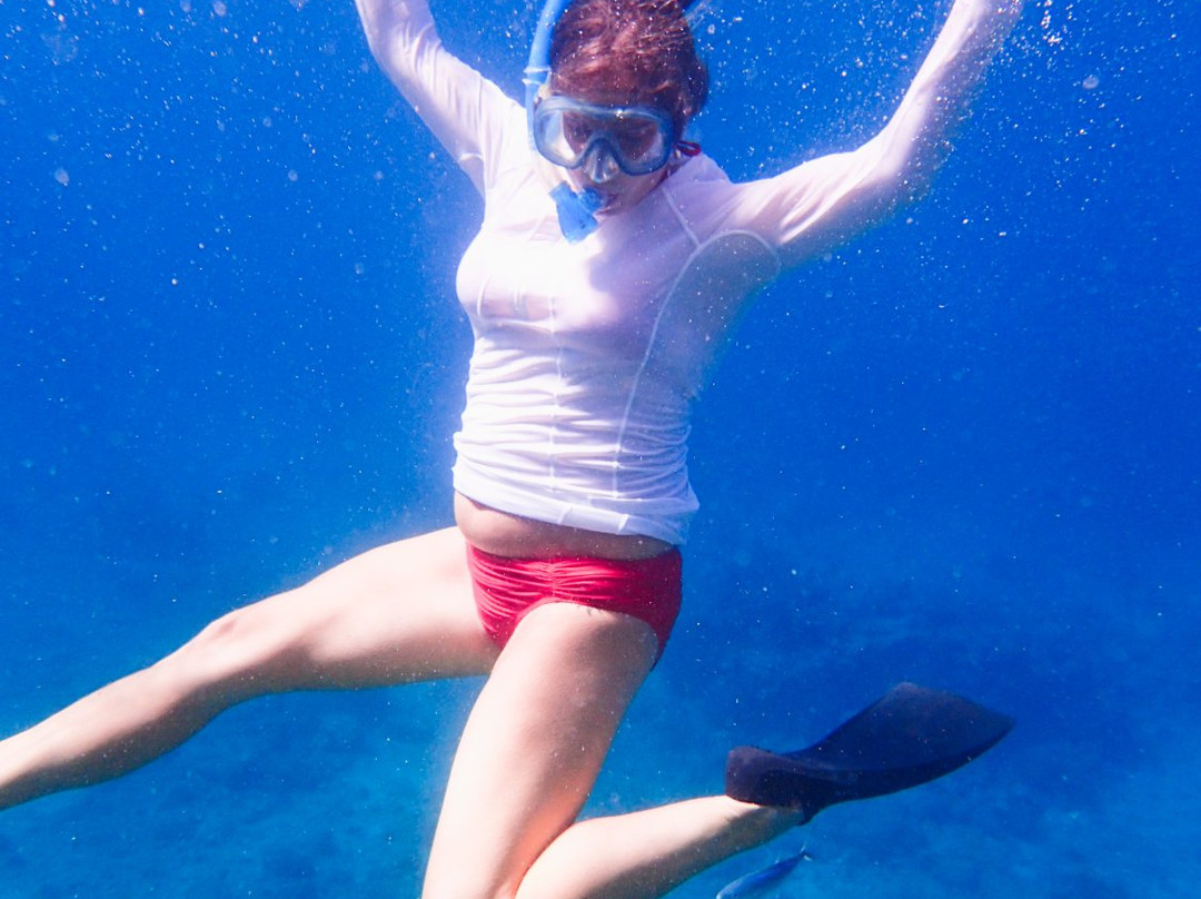 Nemo Yachting-Red Hook必去景点