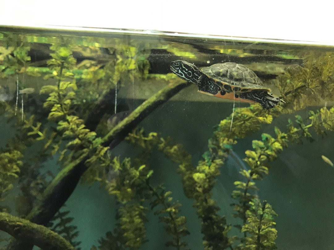 Cold Spring Harbor Fish Hatchery & Aquarium-Cold Spring Harbor必去景点