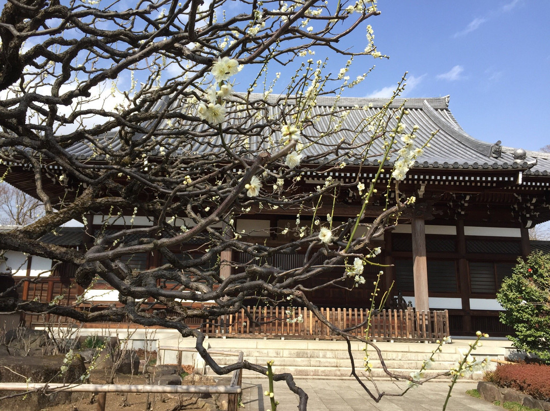 Kansen-ji Temple-杉并区必去景点