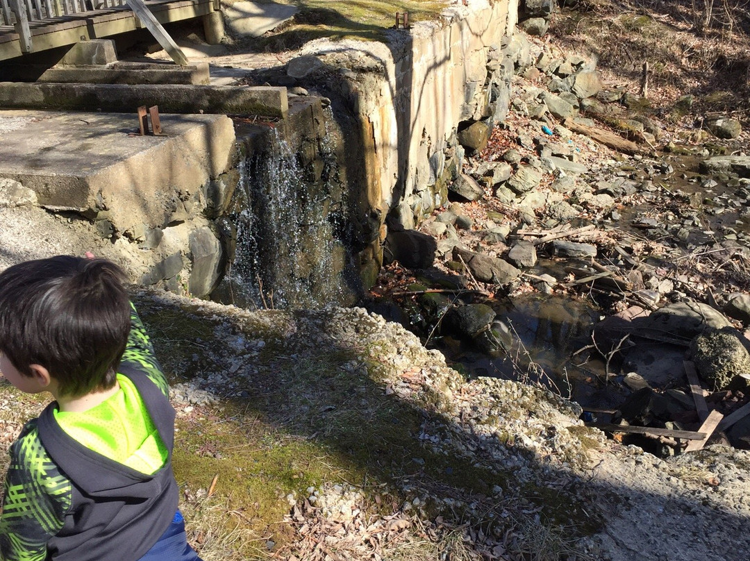 Ringing Rocks Park-Potts Grove必去景点